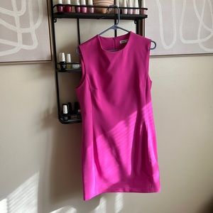 Hot pink ZARA DRESS